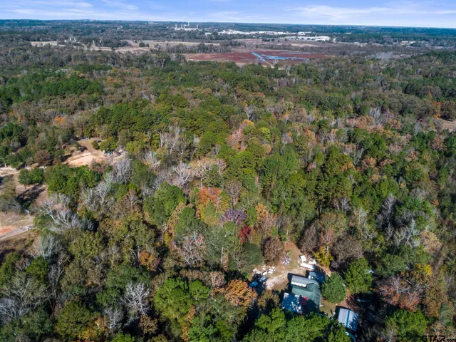 an aerial view of town with residential houses with outdoor space and trees