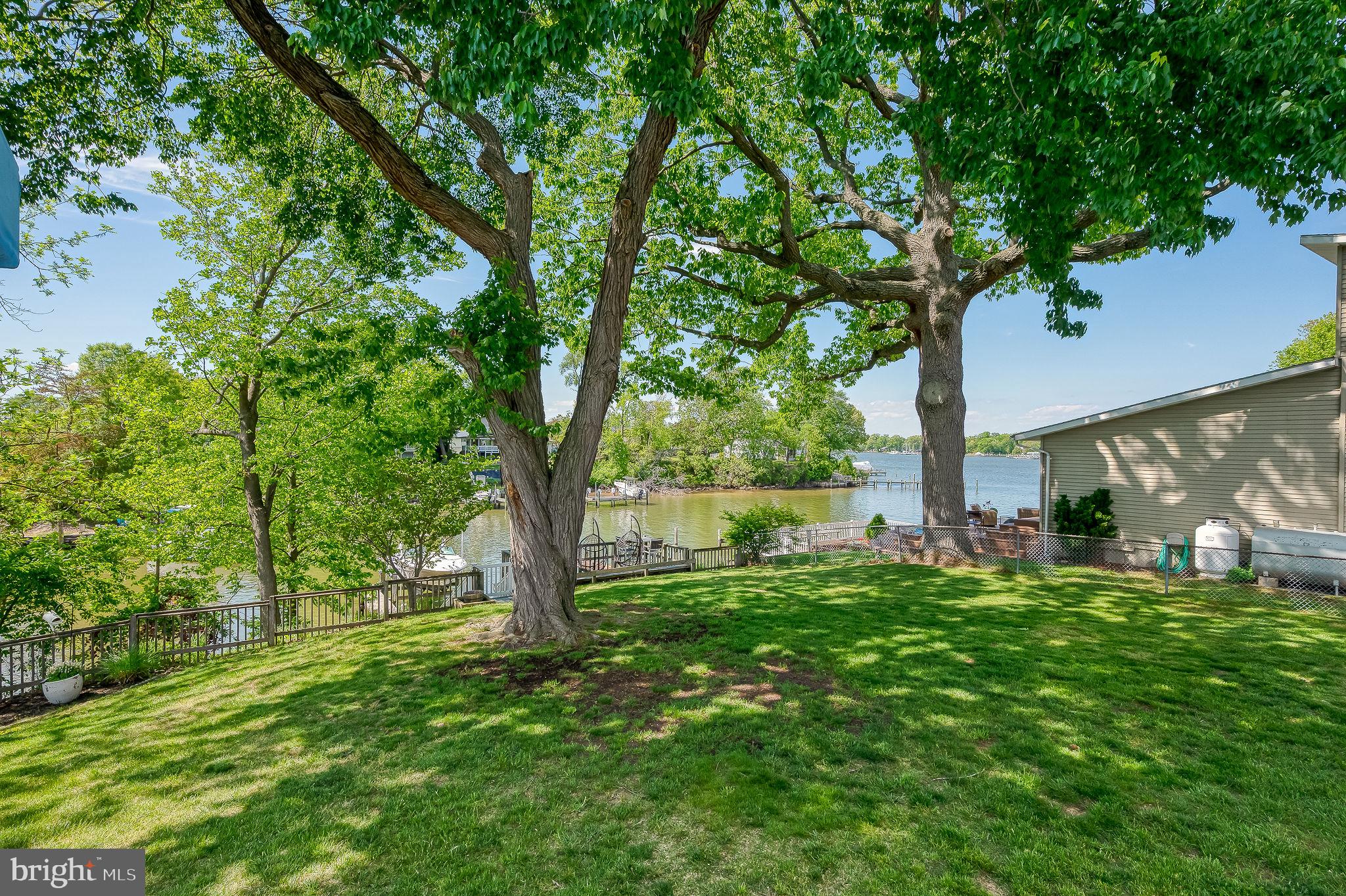 2222 Monocacy Road Essex, MD 21221 - Photo 55 of 70 Lush lakeside retreat with vibrant greenery.