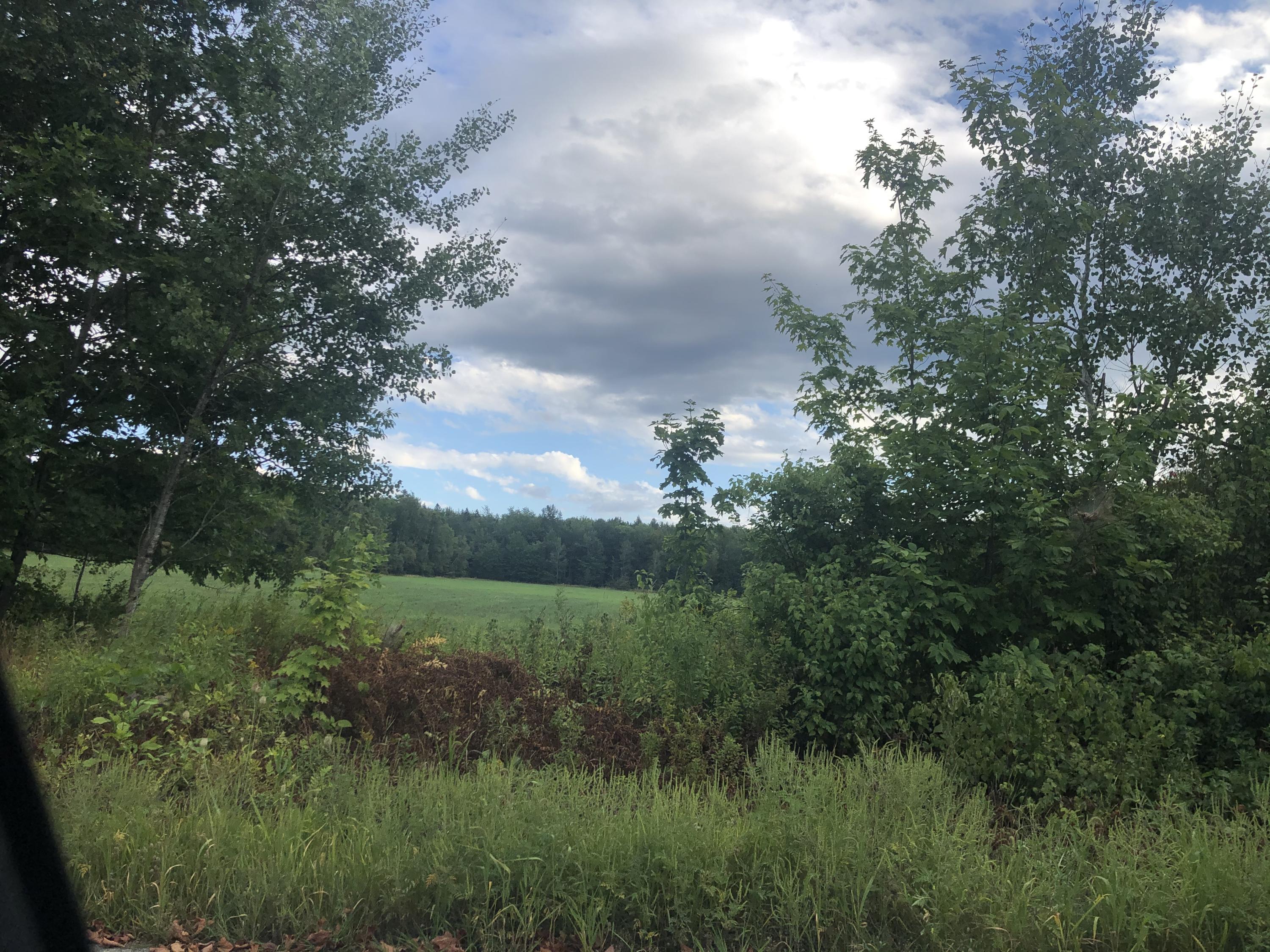 22 Snakeroot Road Pittsfield, ME 04967 - Photo 10 of 19 2020-08-22 17.19.11