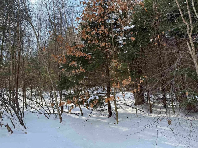 $199,595 | 19 Stone Ridge Loop, West Dover, VT 05356