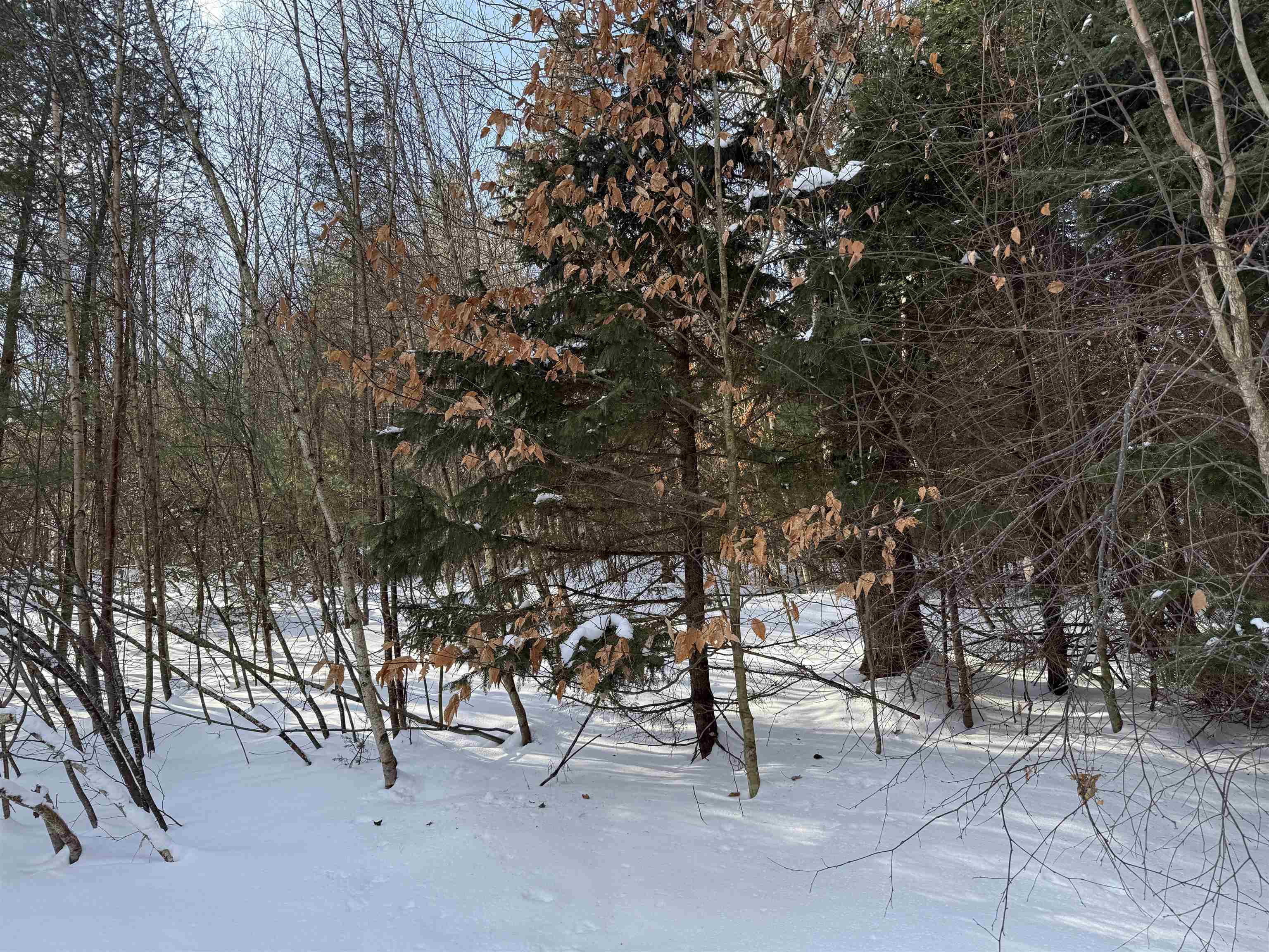 12 Stone Ridge Loop West Dover, VT 05356 - Photo 11 of 20