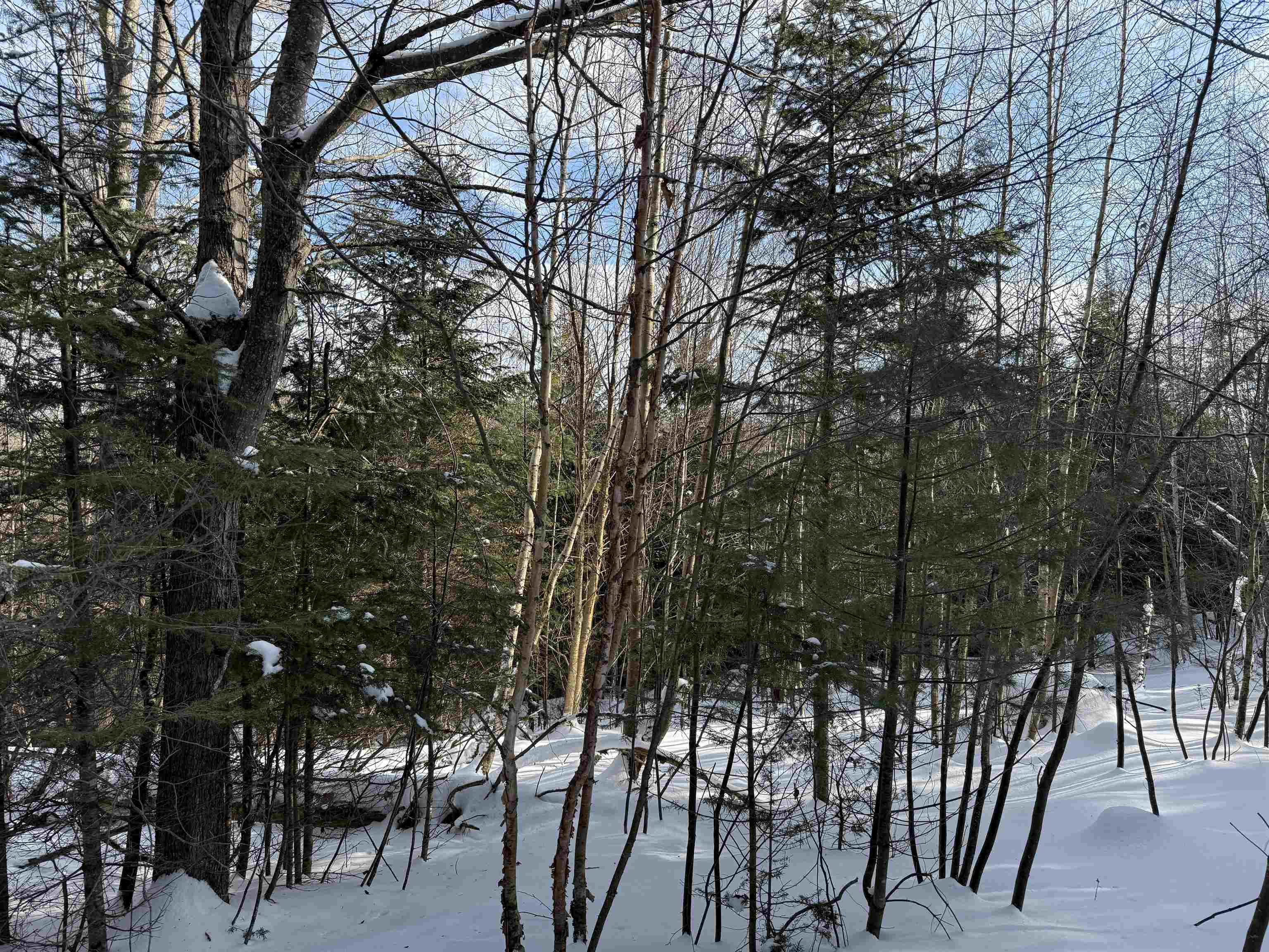 12 Stone Ridge Loop West Dover, VT 05356 - Photo 12 of 20