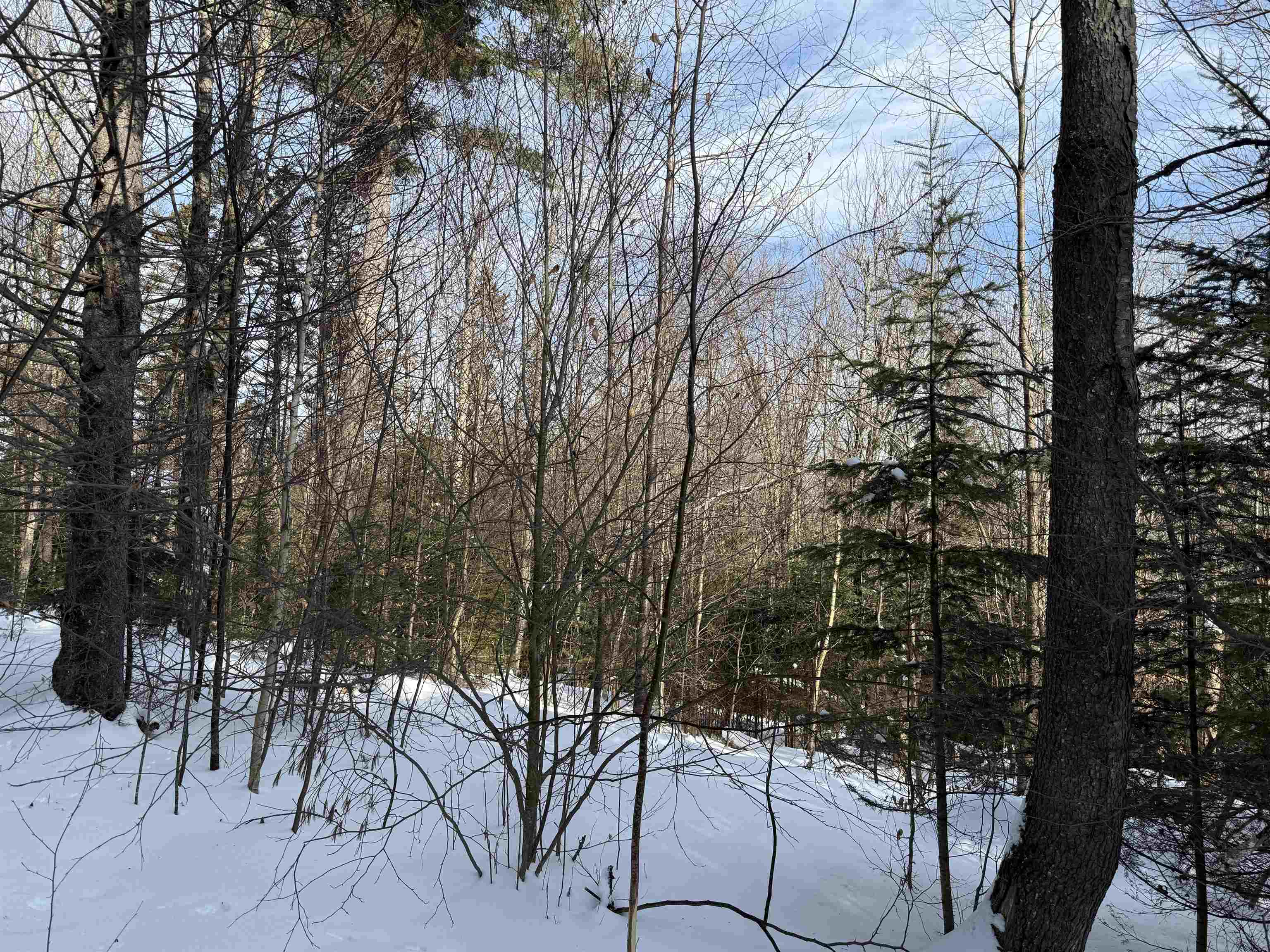 12 Stone Ridge Loop West Dover, VT 05356 - Photo 13 of 20