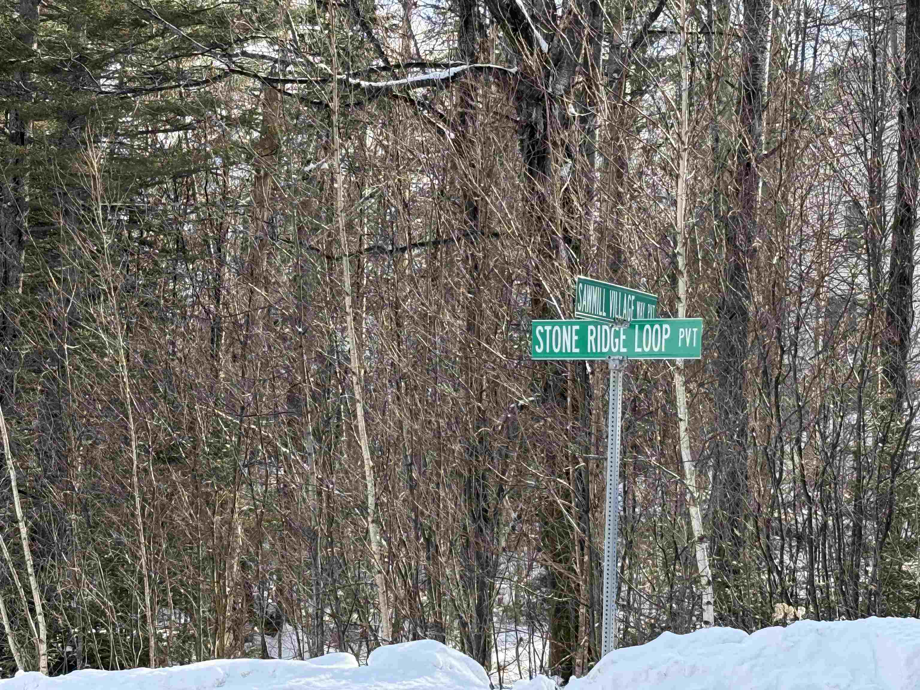 12 Stone Ridge Loop West Dover, VT 05356 - Photo 3 of 20