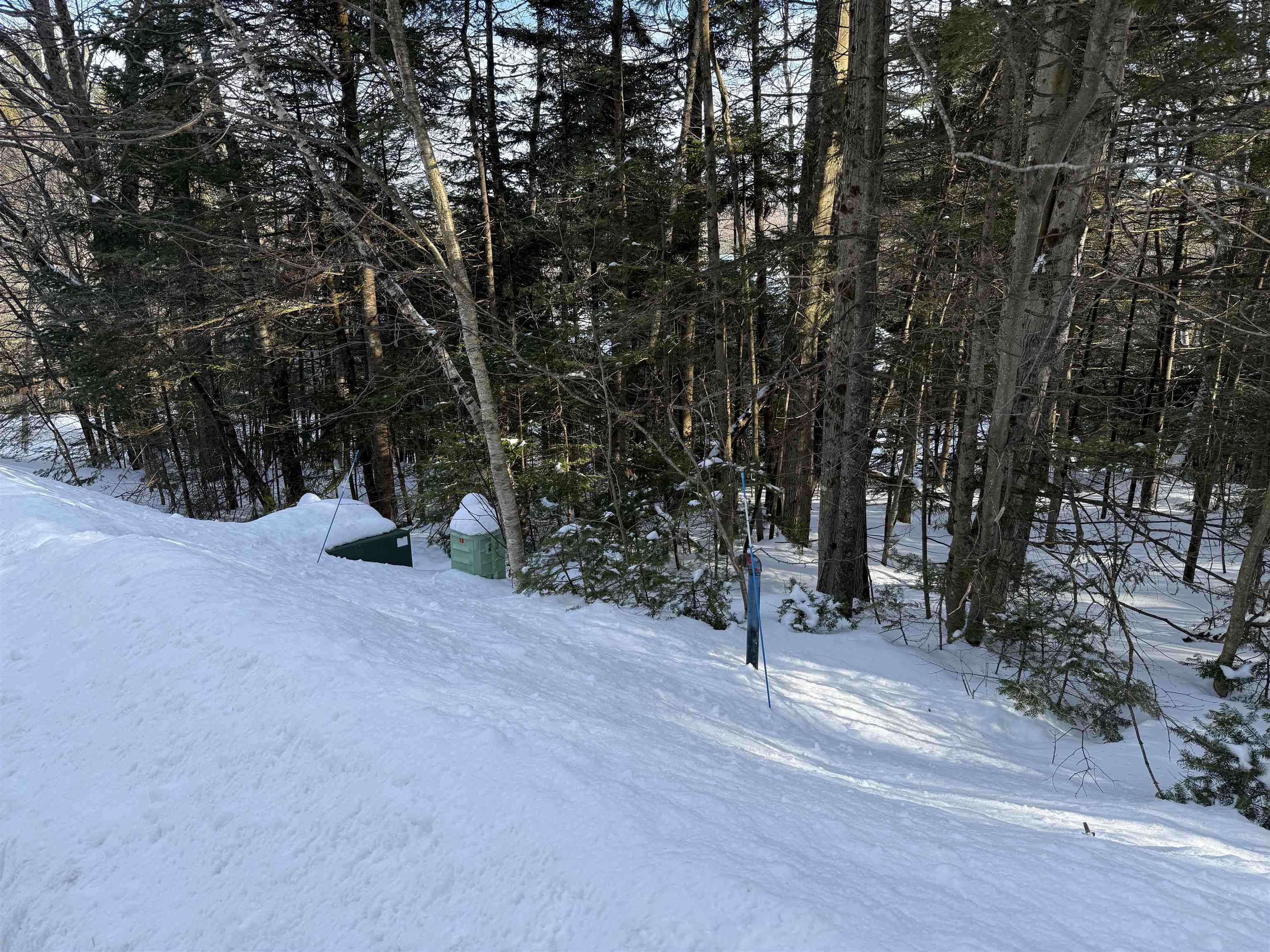 12 Stone Ridge Loop West Dover, VT 05356 - Photo 5 of 20