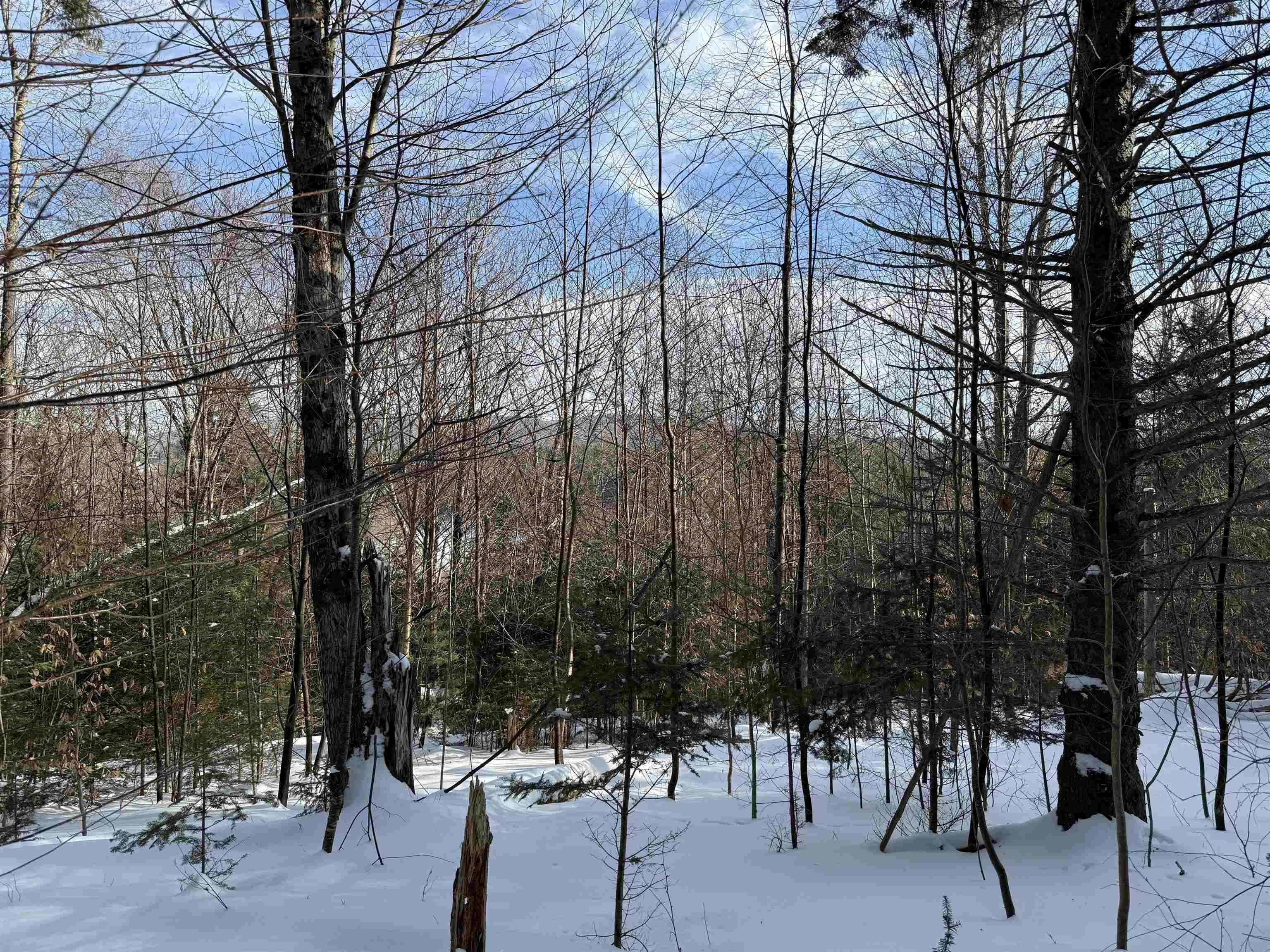 12 Stone Ridge Loop West Dover, VT 05356 - Photo 8 of 20