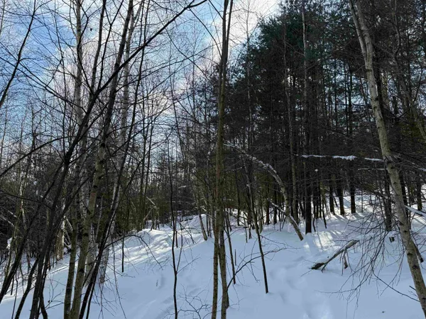 $199,595 | 19 Stone Ridge Loop, West Dover, VT 05356