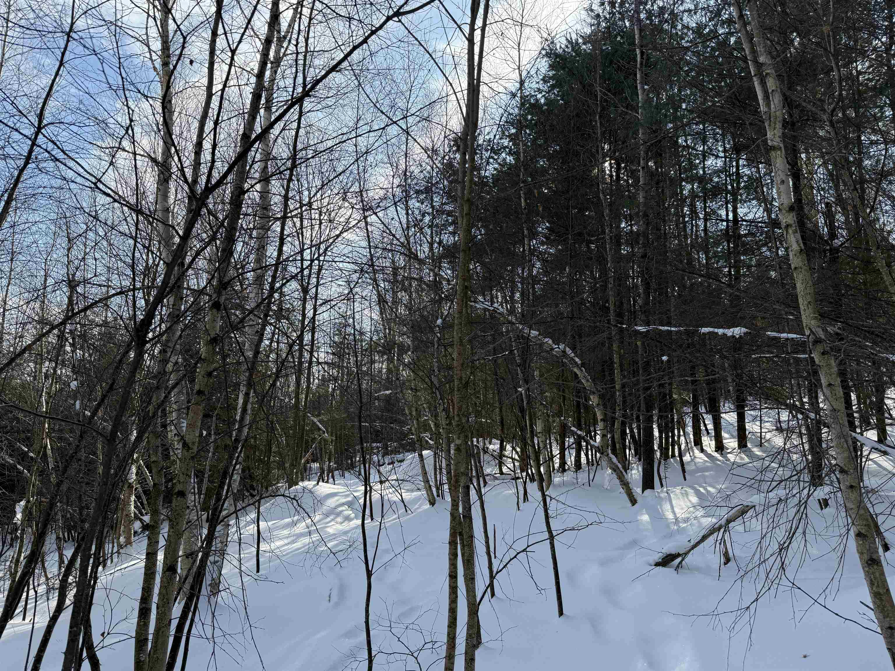 12 Stone Ridge Loop West Dover, VT 05356 - Photo 10 of 20