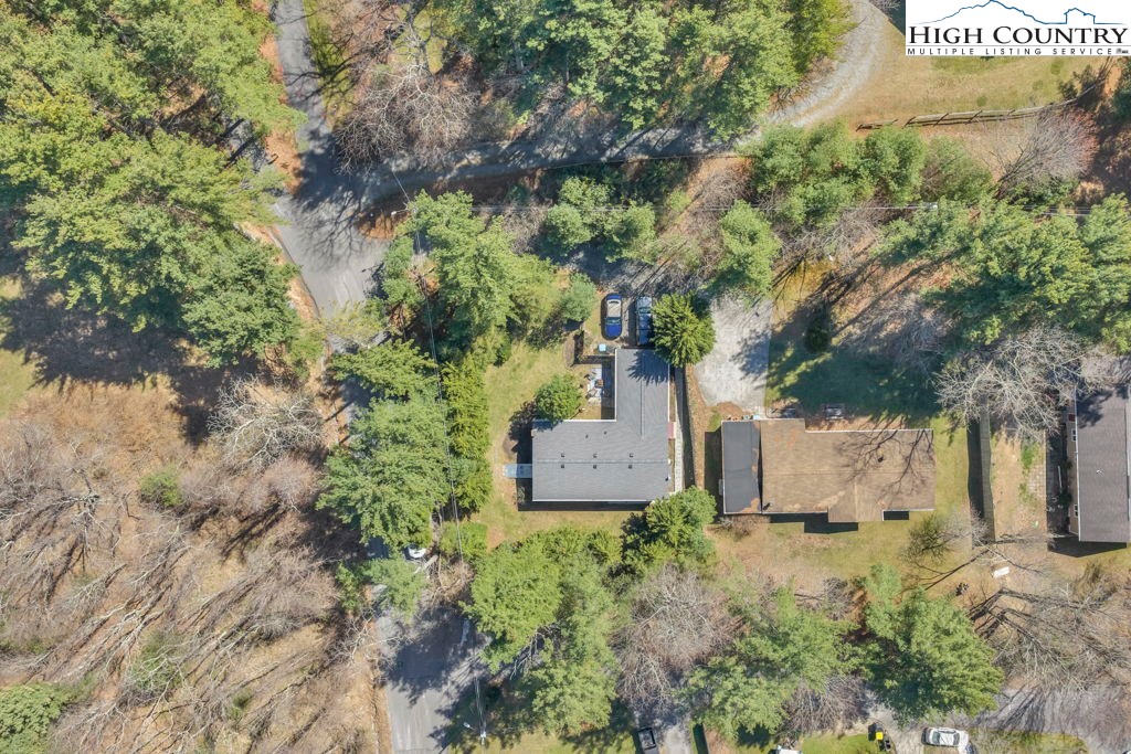 156 Olancha Avenue Boone, NC 28607 - Photo 21 of 23 a view of statue in a garden