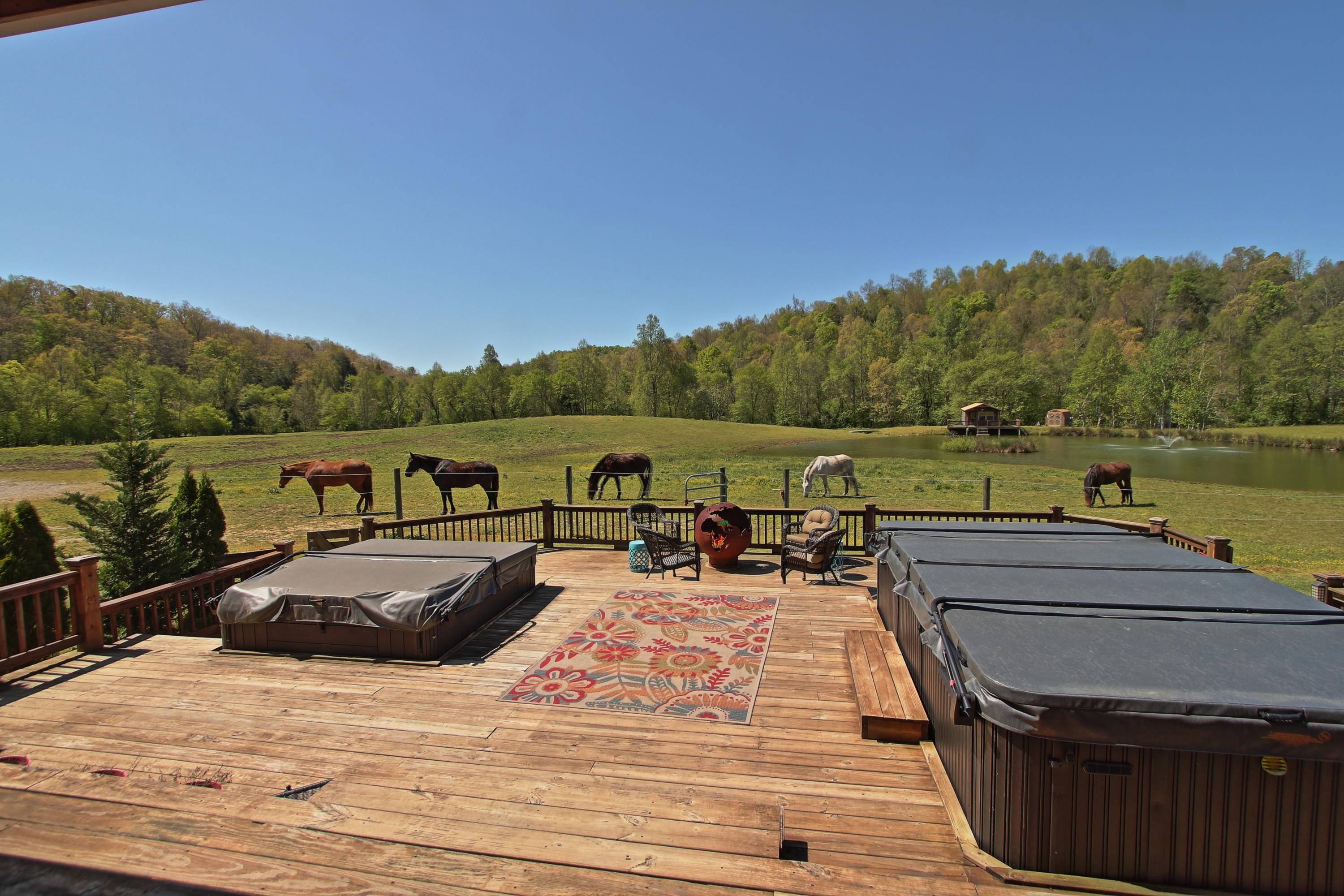 750 Nydeck Road Robbins, TN 37852 - Photo 5 of 40 n46