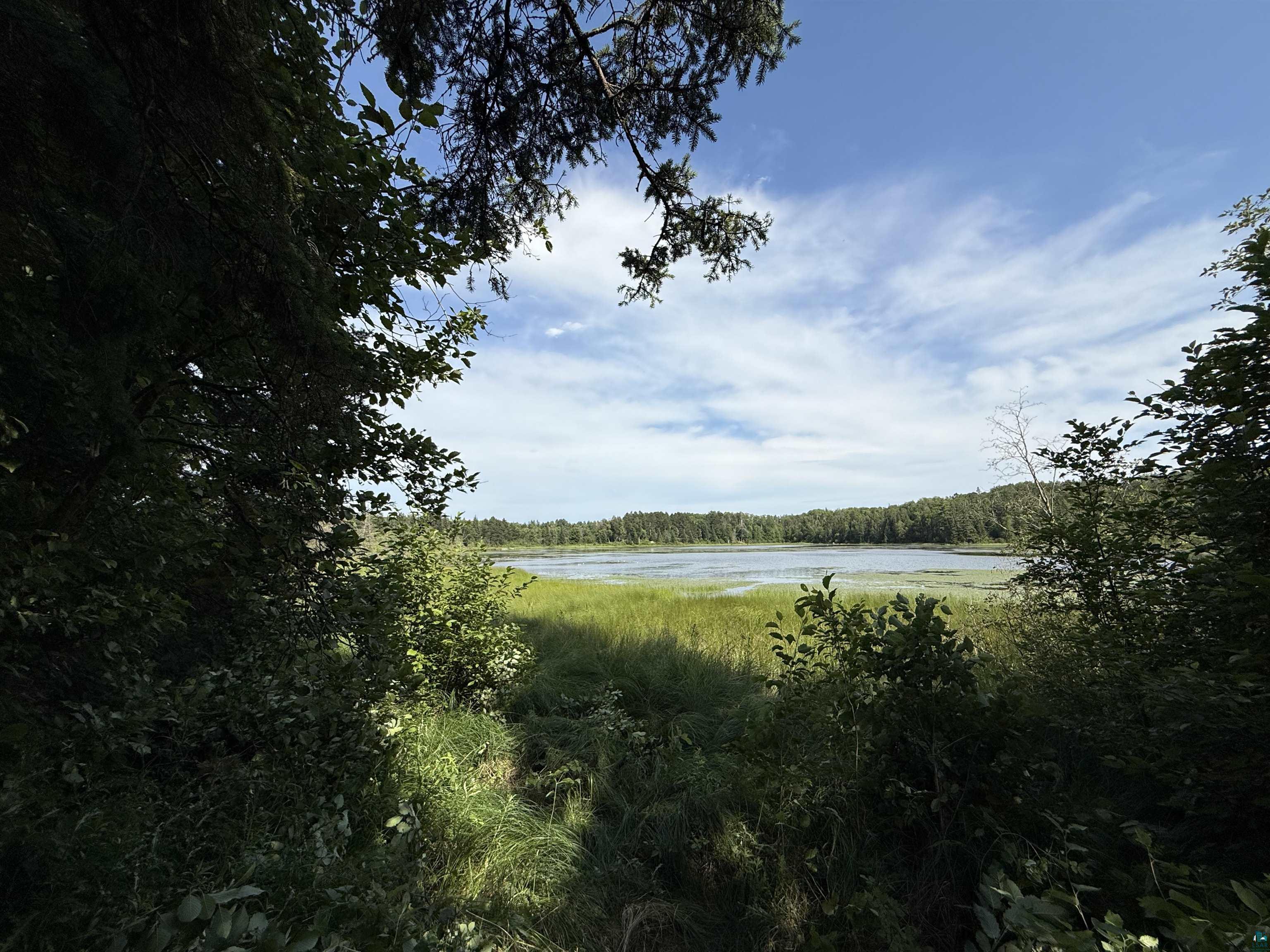 12015 Luna Lake Road Side Lake, MN 55781 - Photo 1 of 16 Water view with a forest