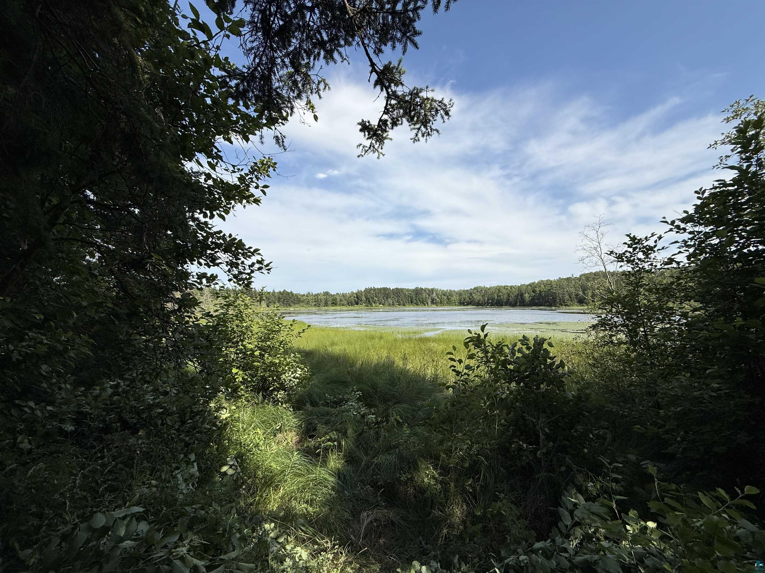 12015 Luna Lake Road Side Lake, MN 55781 - Photo 16 of 16 Water view with a forest