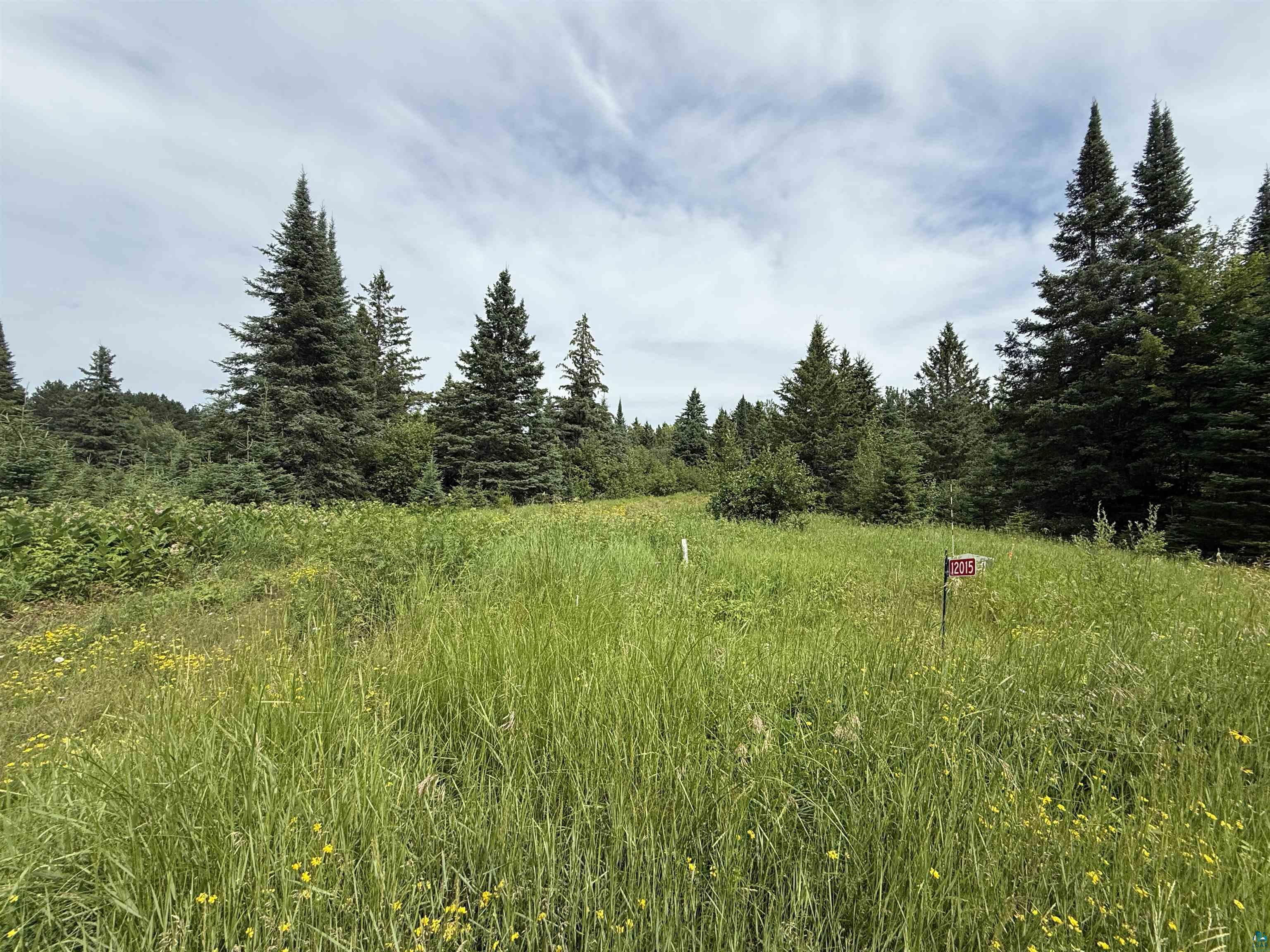 12015 Luna Lake Road Side Lake, MN 55781 - Photo 3 of 16 View of woods