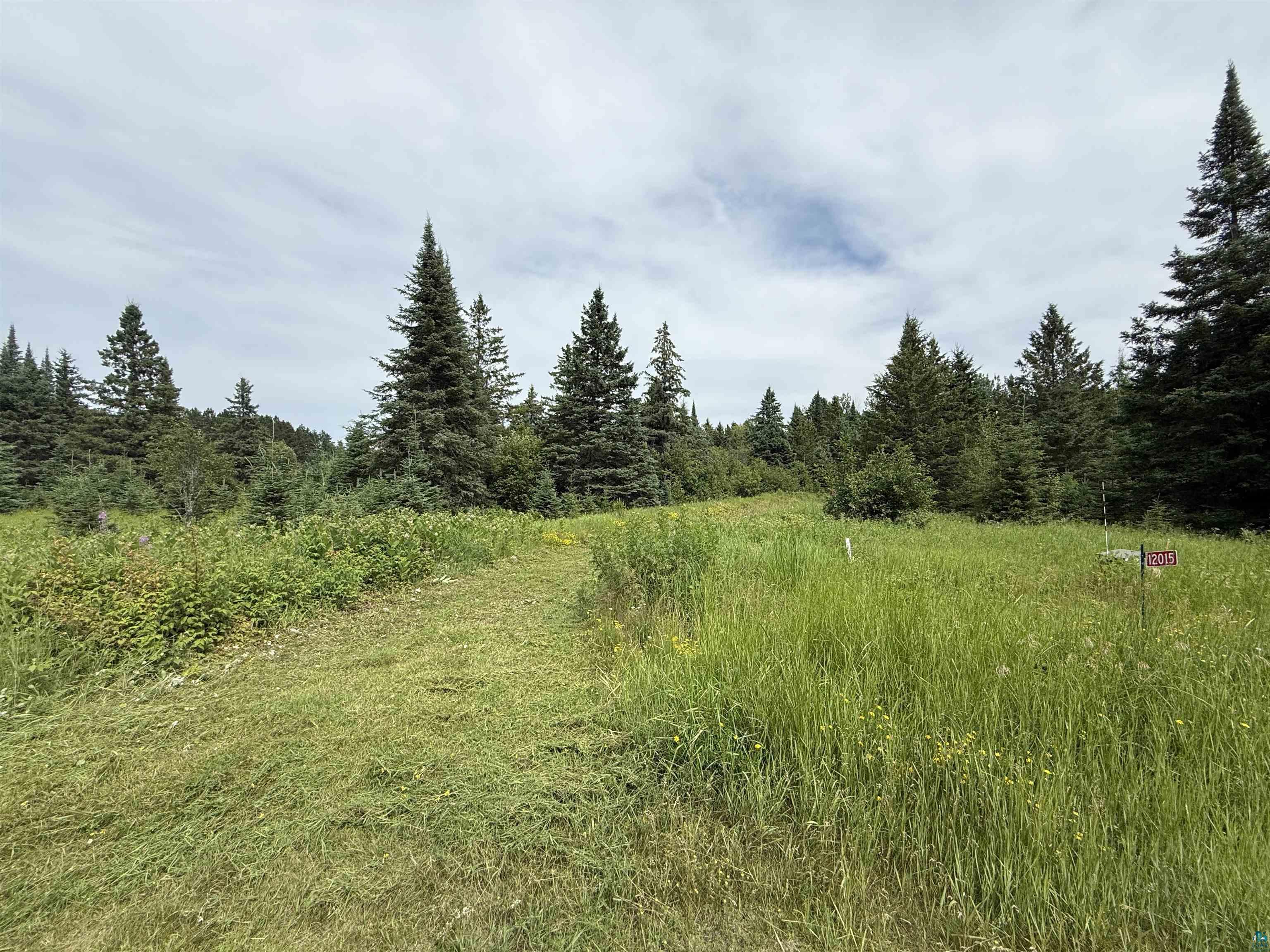 12015 Luna Lake Road Side Lake, MN 55781 - Photo 4 of 16 View of wooded area