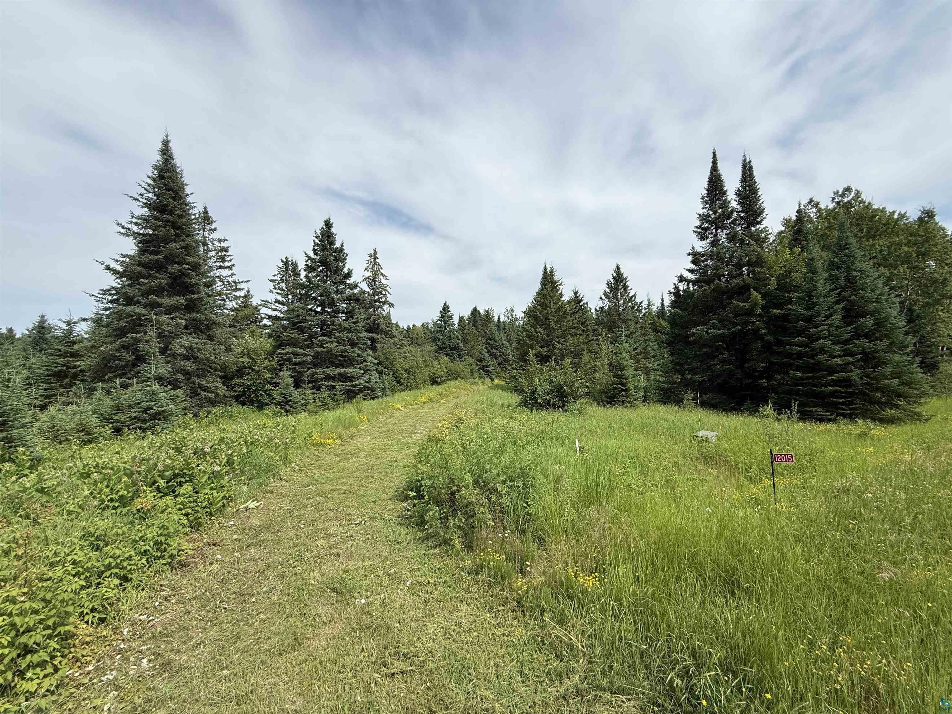 12015 Luna Lake Road Side Lake, MN 55781 - Photo 5 of 16 View of wooded area