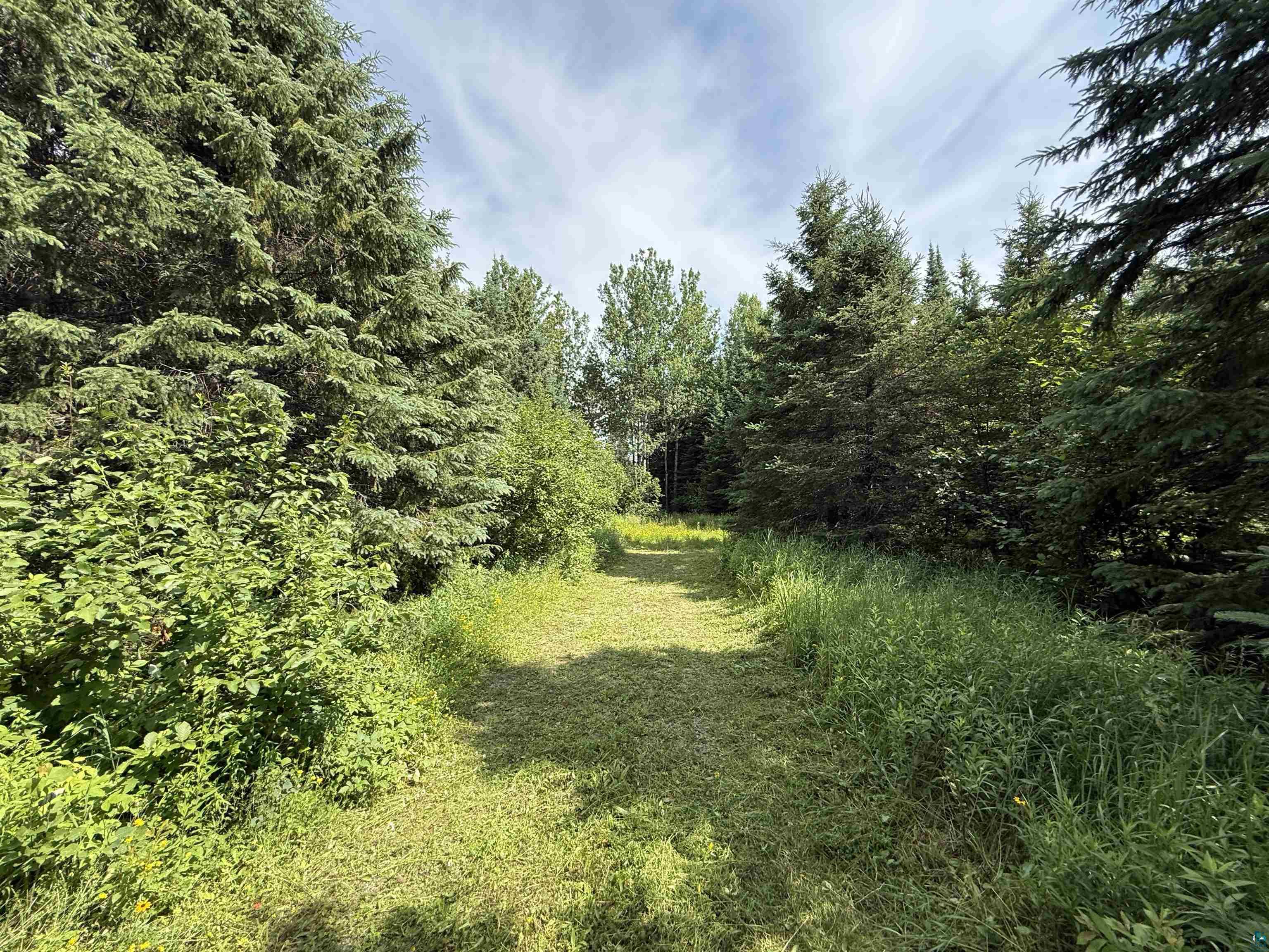 12015 Luna Lake Road Side Lake, MN 55781 - Photo 6 of 16 View of wooded area