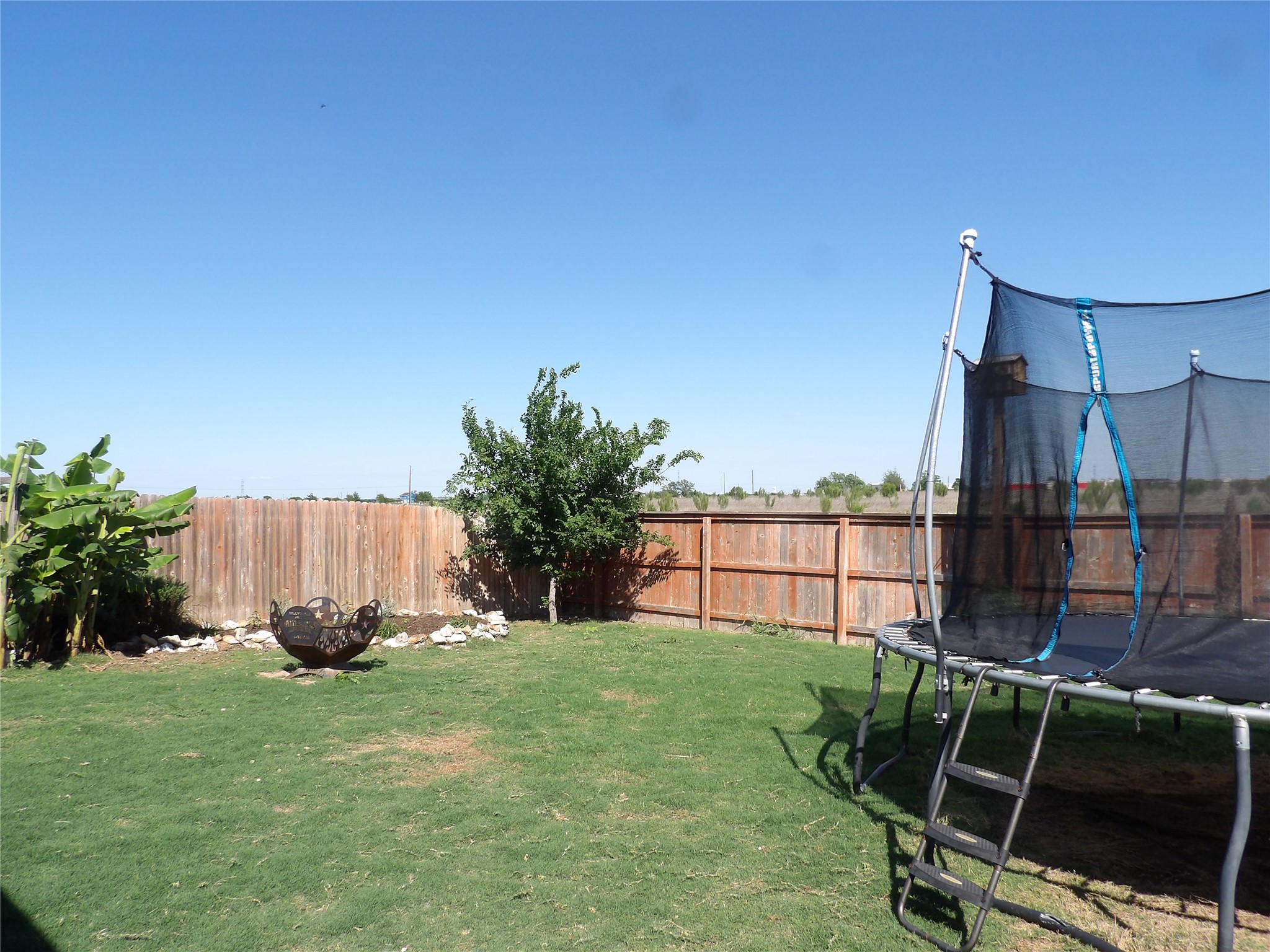 930 Pumpkin Ridge New Braunfels, TX 78130 - Photo 30 of 32 Expansive backyard featuring a manicured lawn, wood privacy fencing, and established perimeter plantings