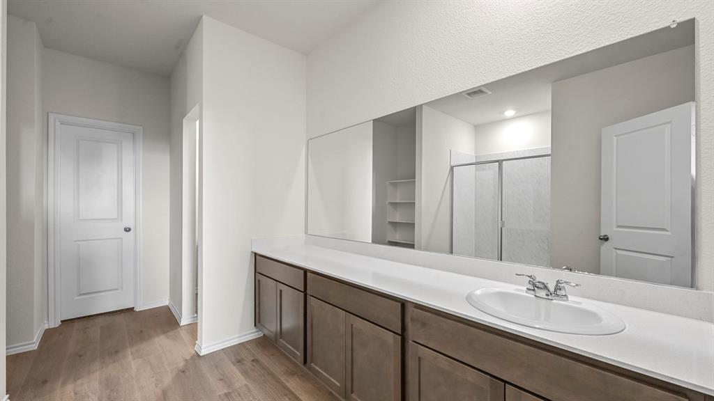 650 Glee Stem Road Lavon, TX 75166 - Photo 12 of 22 a bathroom with a sink and a mirror