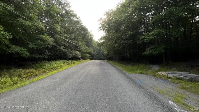 a view of a street with a large trees