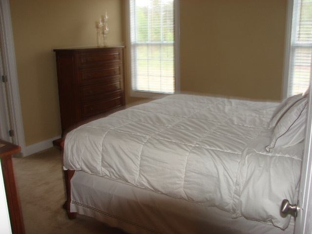 260 Sloan Road Lyman, SC 29365 - Photo 4 of 14