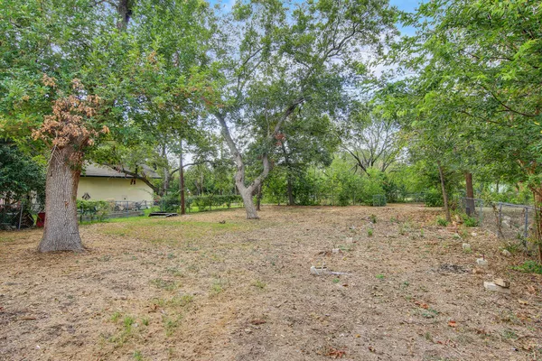 a view of a yard with a tree