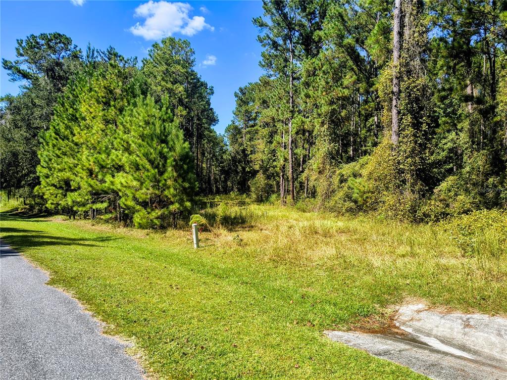 a view of yard with green space