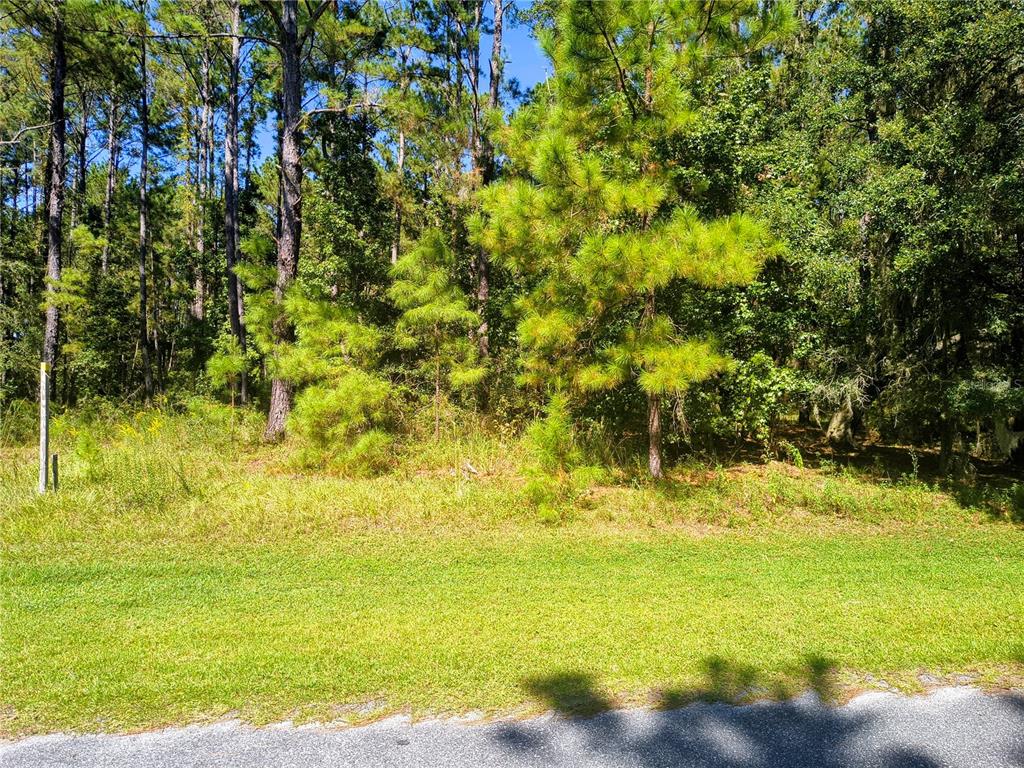 Northwest 148th Lane Williston, FL 32696 - Photo 2 of 9 a view of beach with an outdoor space