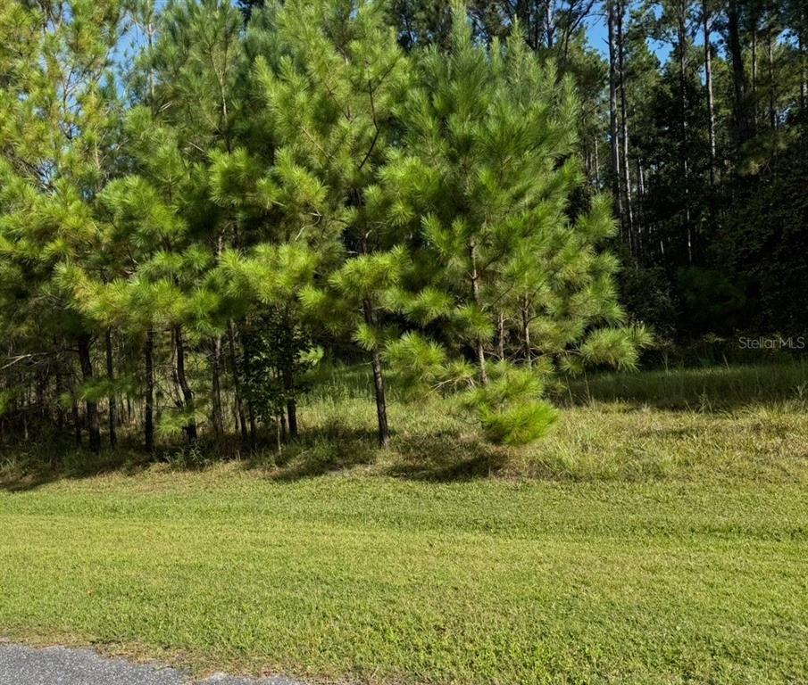Northwest 148th Lane Williston, FL 32696 - Photo 3 of 9 a backyard of a house with lots of green space and lake view