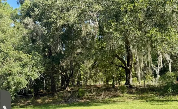 a view of a yard