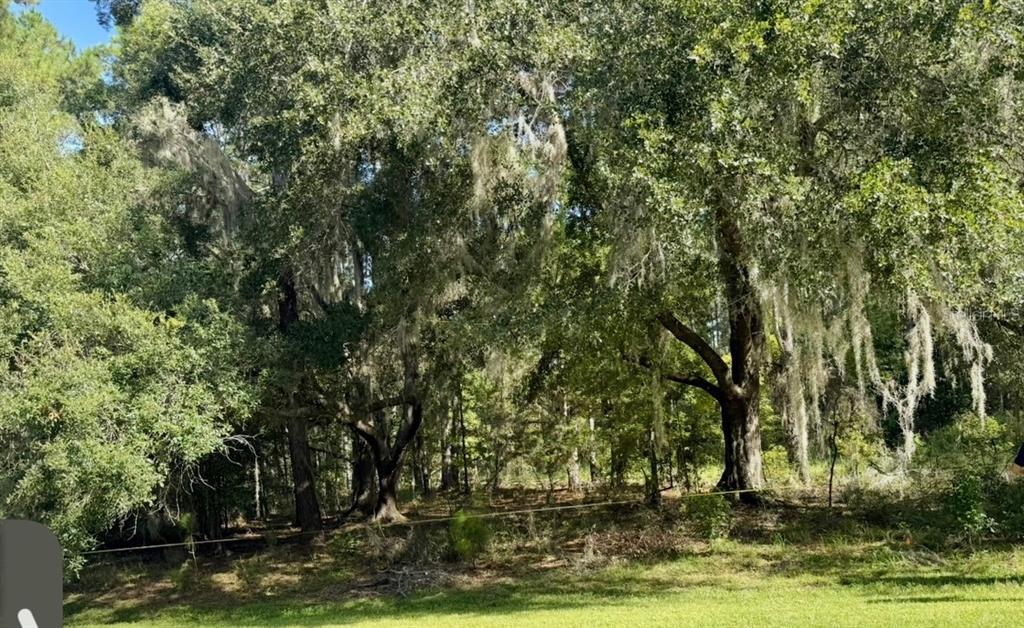 Northwest 148th Lane Williston, FL 32696 - Photo 4 of 9 a view of a yard