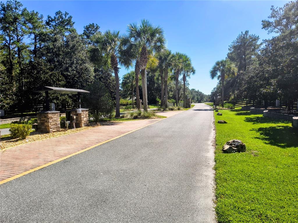 Northwest 148th Lane Williston, FL 32696 - Photo 8 of 9 a view of a street with a slide on the road