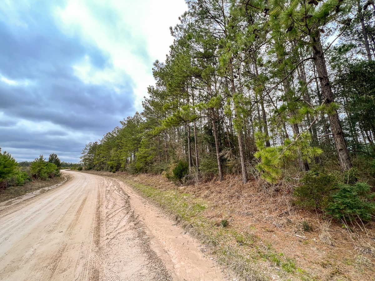 1 B Hardin Hideout Road Moscow, TX 75960 - Photo 5 of 14