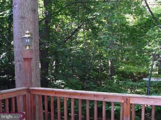 8800 Bailey Road Glenside, PA 19038 - Photo 6 of 6 Gallery Image 6