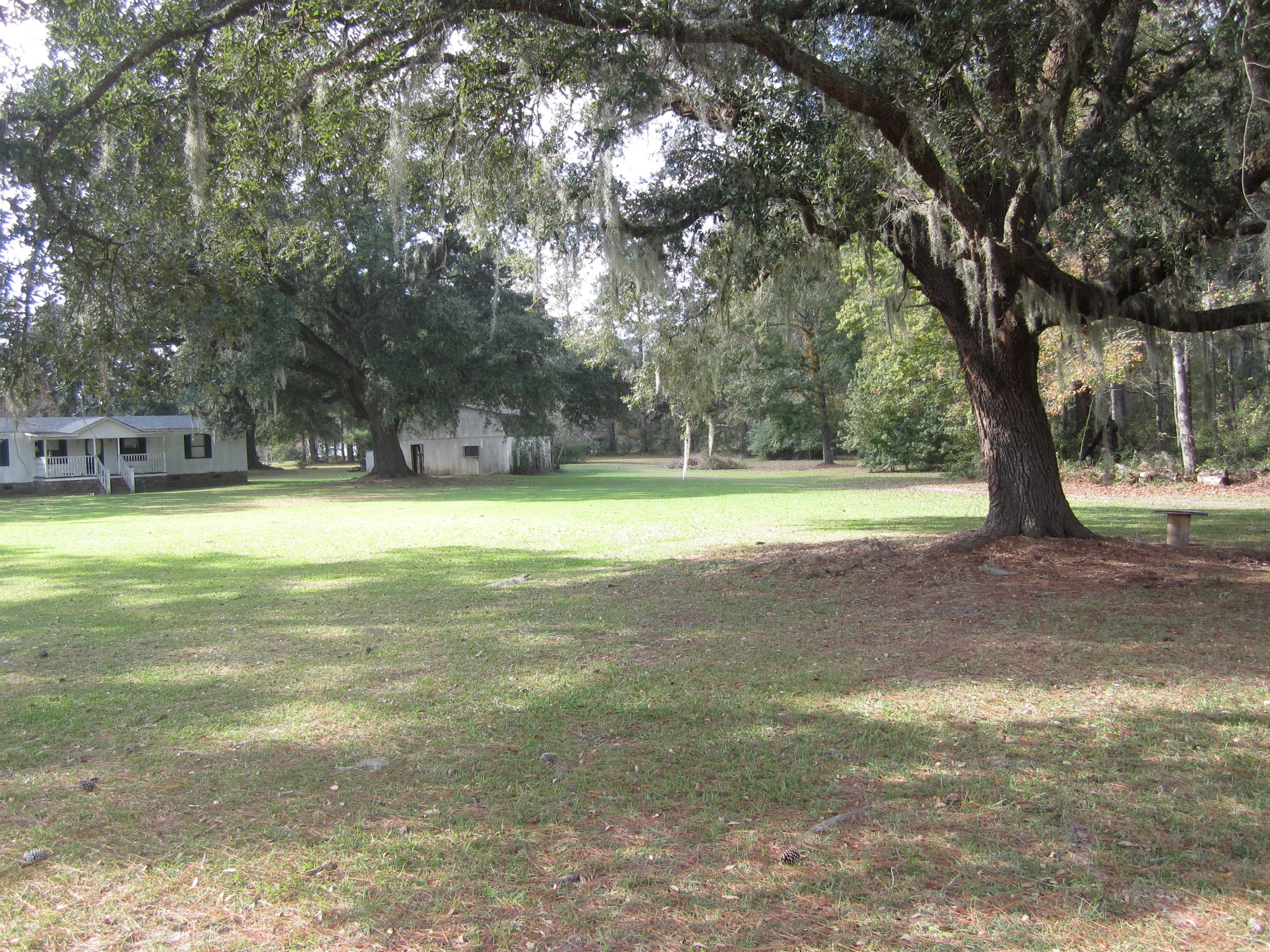 2883 Rehoboth Road Cottageville, SC 29435 - Photo 5 of 6 2883 Rehoboth road