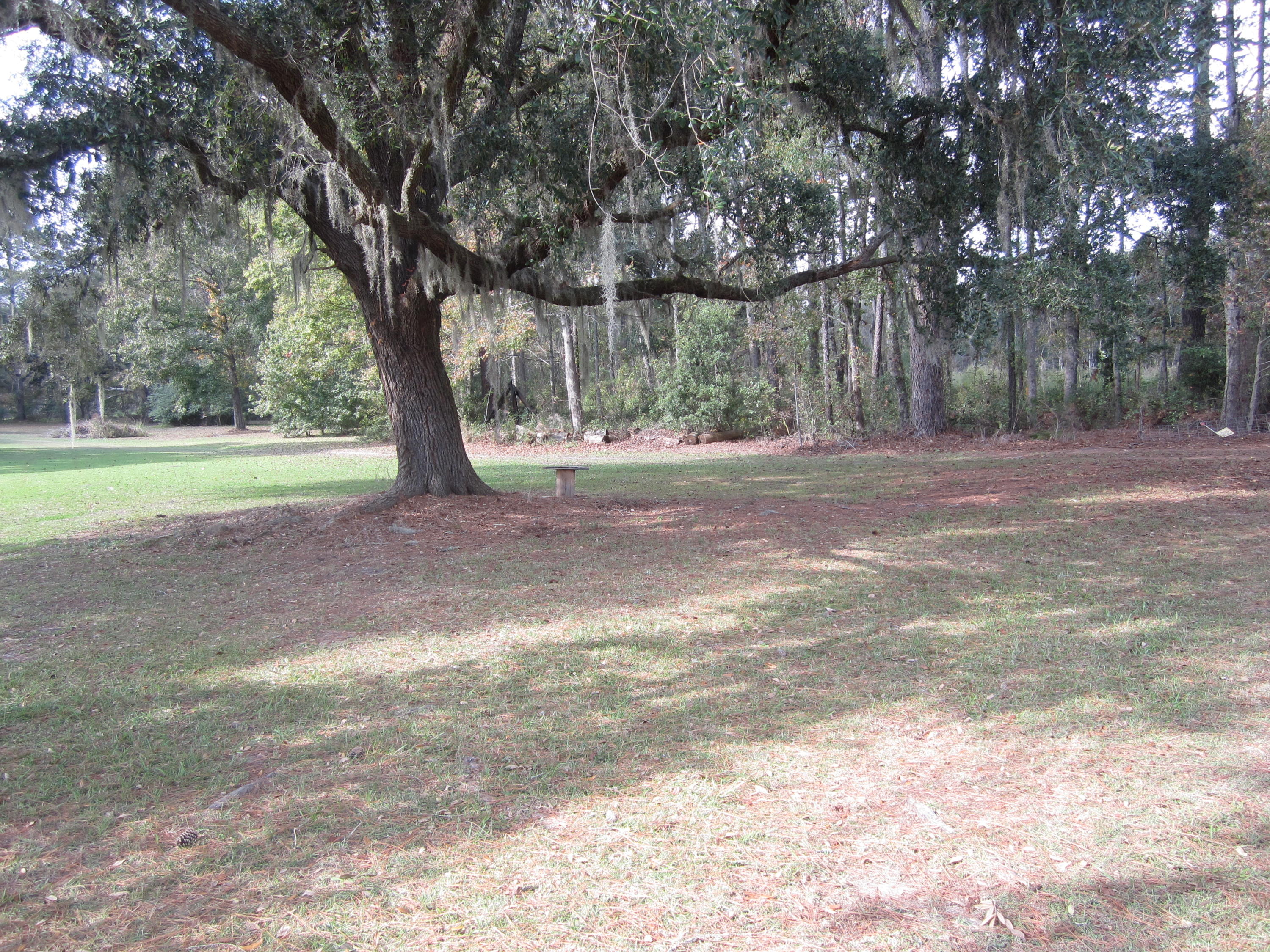 2883 Rehoboth Road Cottageville, SC 29435 - Photo 6 of 6 2883 Rehoboth road