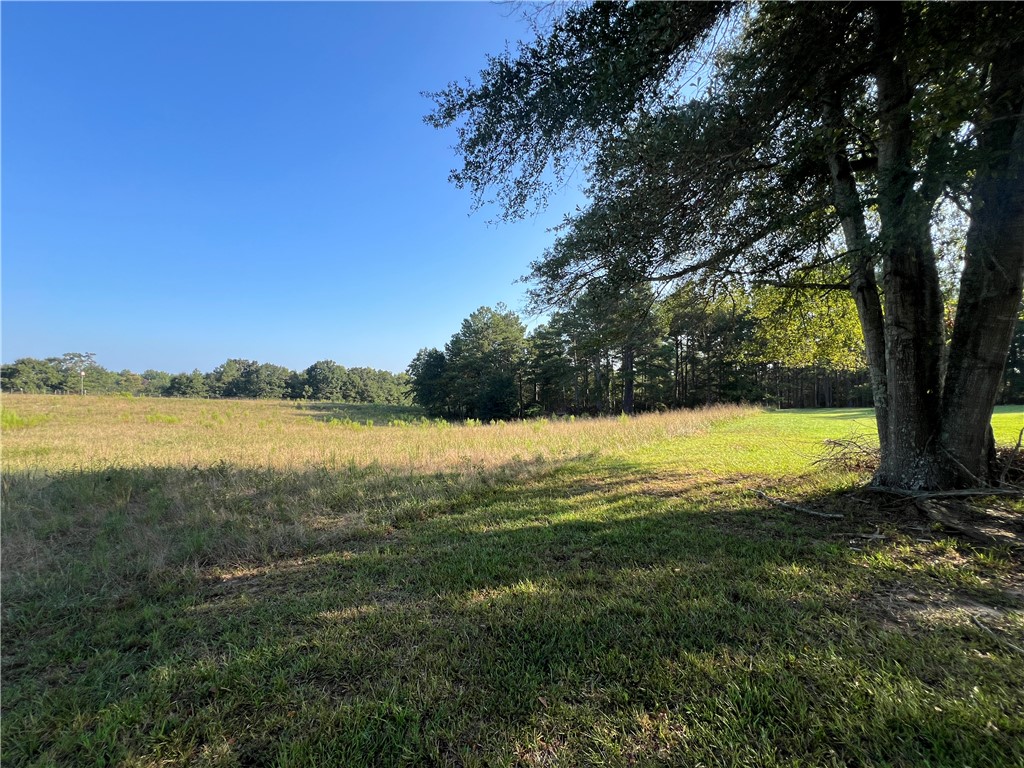 2374 Maw Bridge Road Central, SC 29630 - Photo 12 of 15 Gallery Image 12