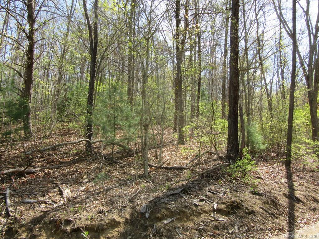 Lot 4 Mary Ruth Way Clyde, NC 28721 - Photo 1 of 8 a view of a forest with trees