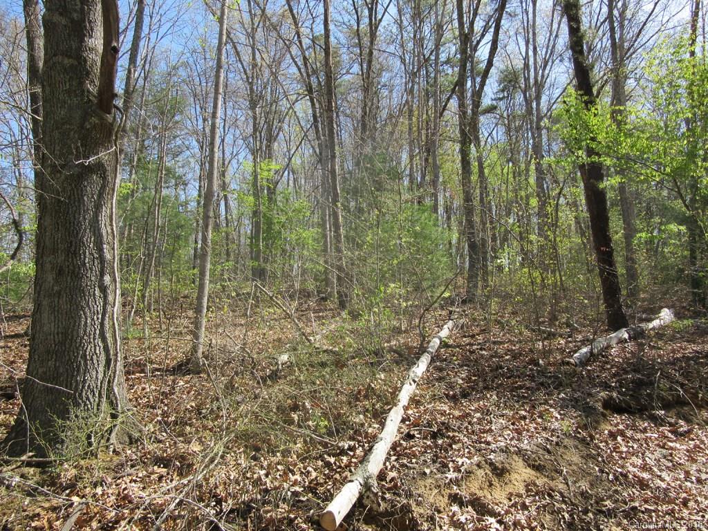 Lot 4 Mary Ruth Way Clyde, NC 28721 - Photo 2 of 8 a view of a forest with trees