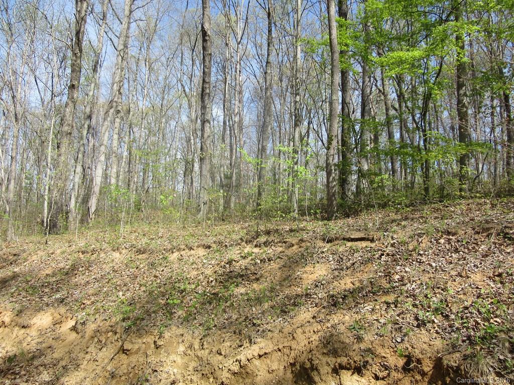 Lot 4 Mary Ruth Way Clyde, NC 28721 - Photo 5 of 8 a view of outdoor space with trees