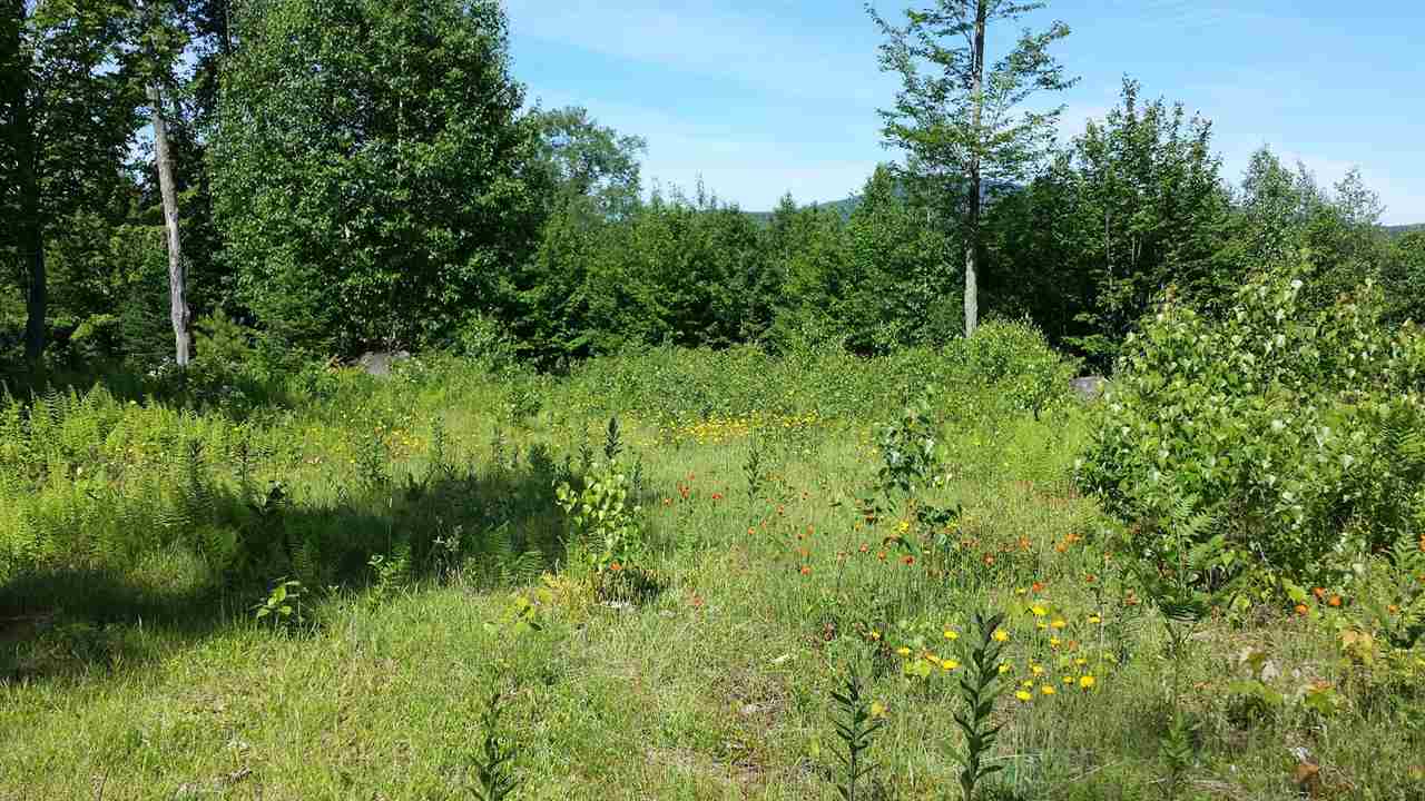631 Gates Farm Road Elmore, VT 05680 - Photo 3 of 7
