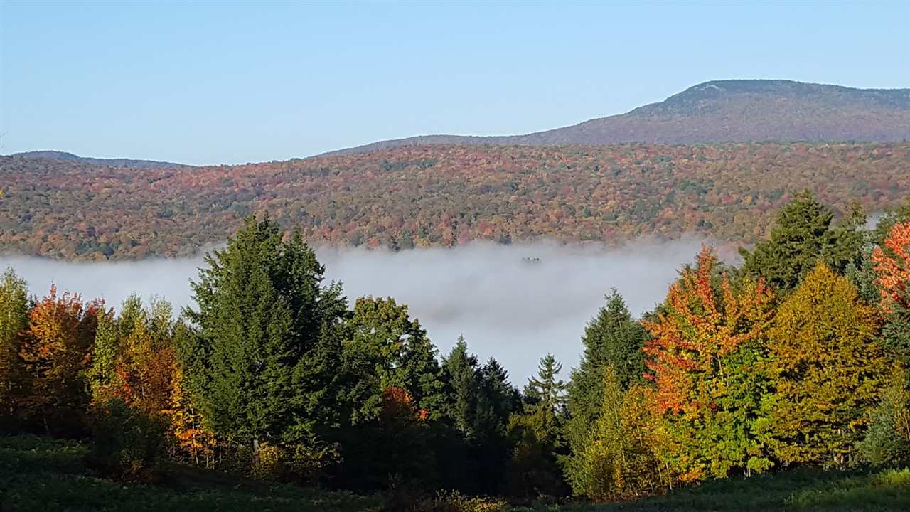 631 Gates Farm Road Elmore, VT 05680 - Photo 5 of 7
