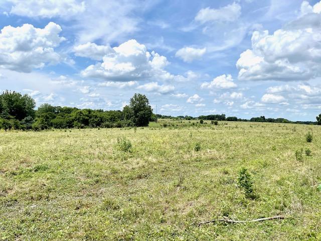 Xxx Branch Road Sarcoxie, MO 64862 - Photo 1 of 1 image001