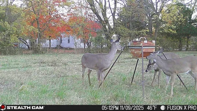 $70,000 | 2617 North North Boulevard, Parsons, KS 67357