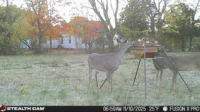 $70,000 | 2617 North North Boulevard, Parsons, KS 67357