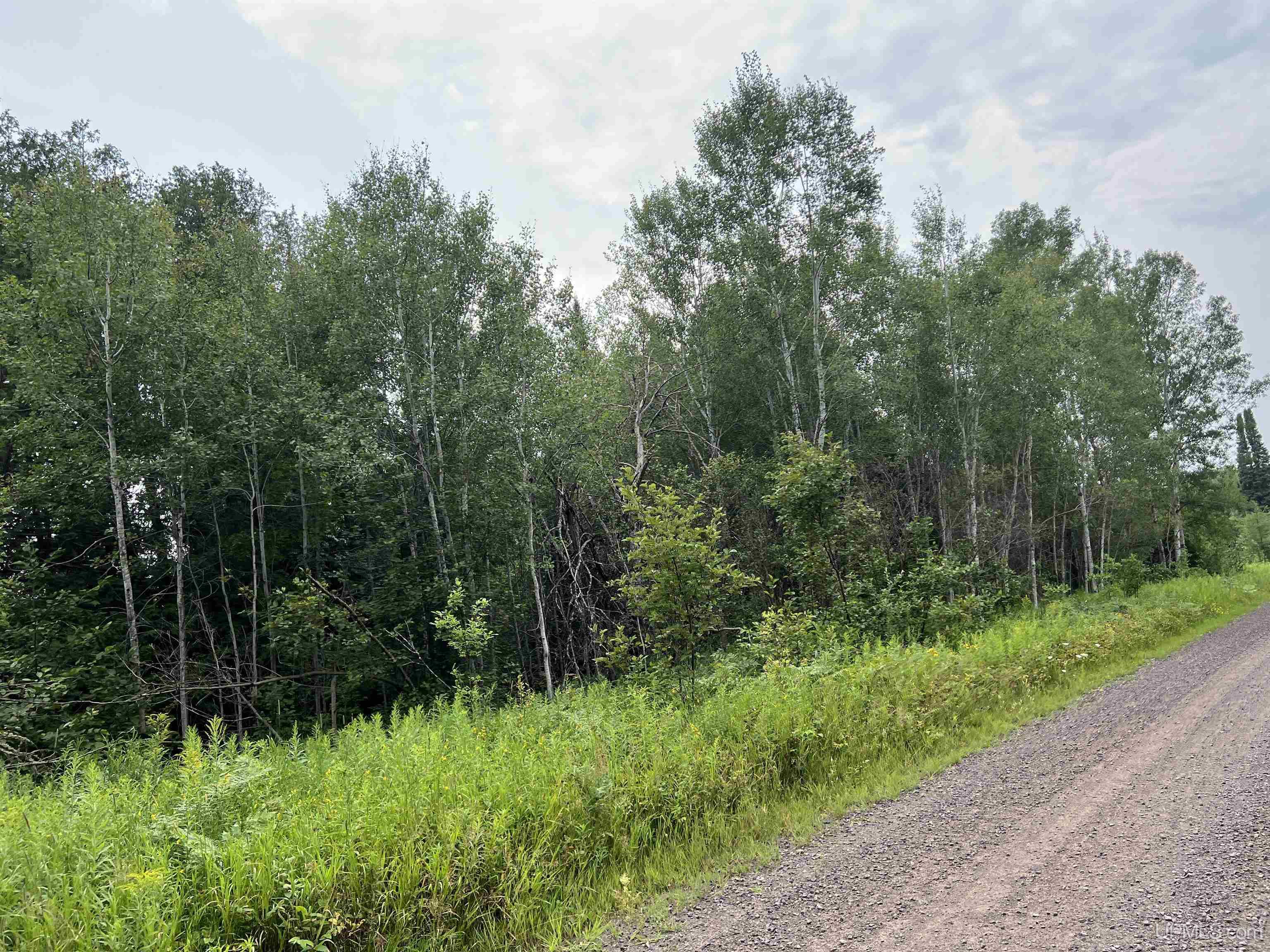 Tbd 40 A Tapio Road Chassell, MI 49916 - Photo 1 of 11