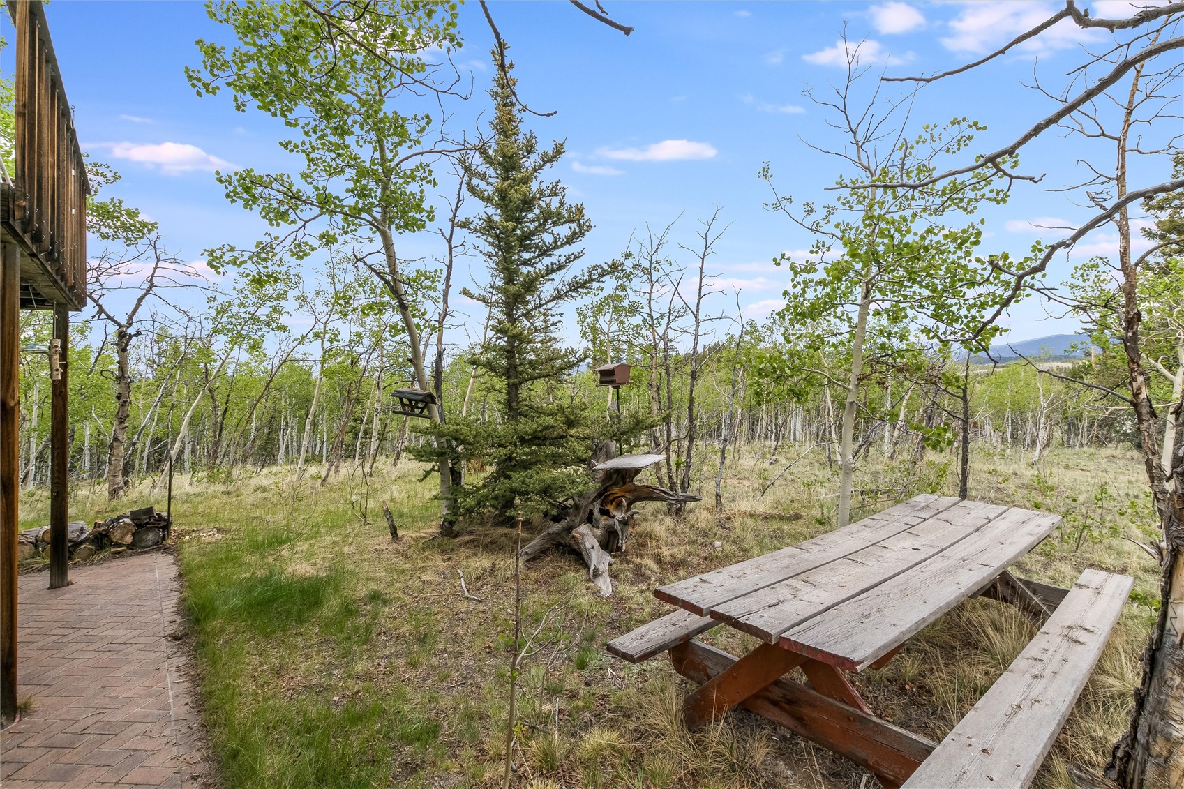 43 Apache Trail Como, CO 80456 - Photo 4 of 50