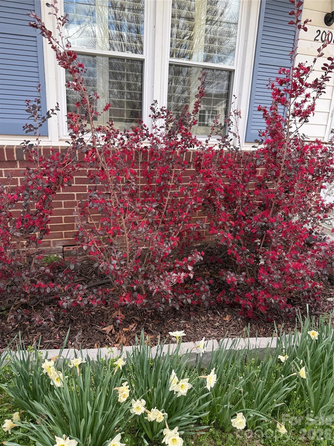 2008 Kings Road Shelby, NC 28150 - Photo 31 of 37