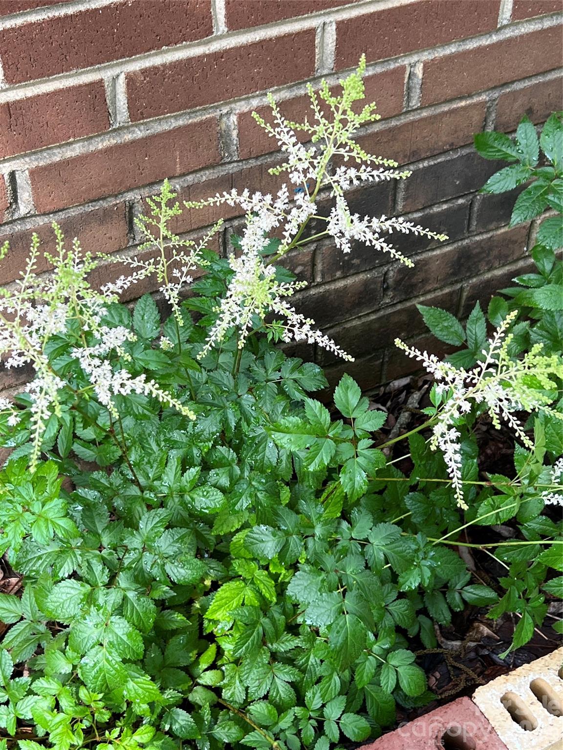 2008 Kings Road Shelby, NC 28150 - Photo 33 of 37