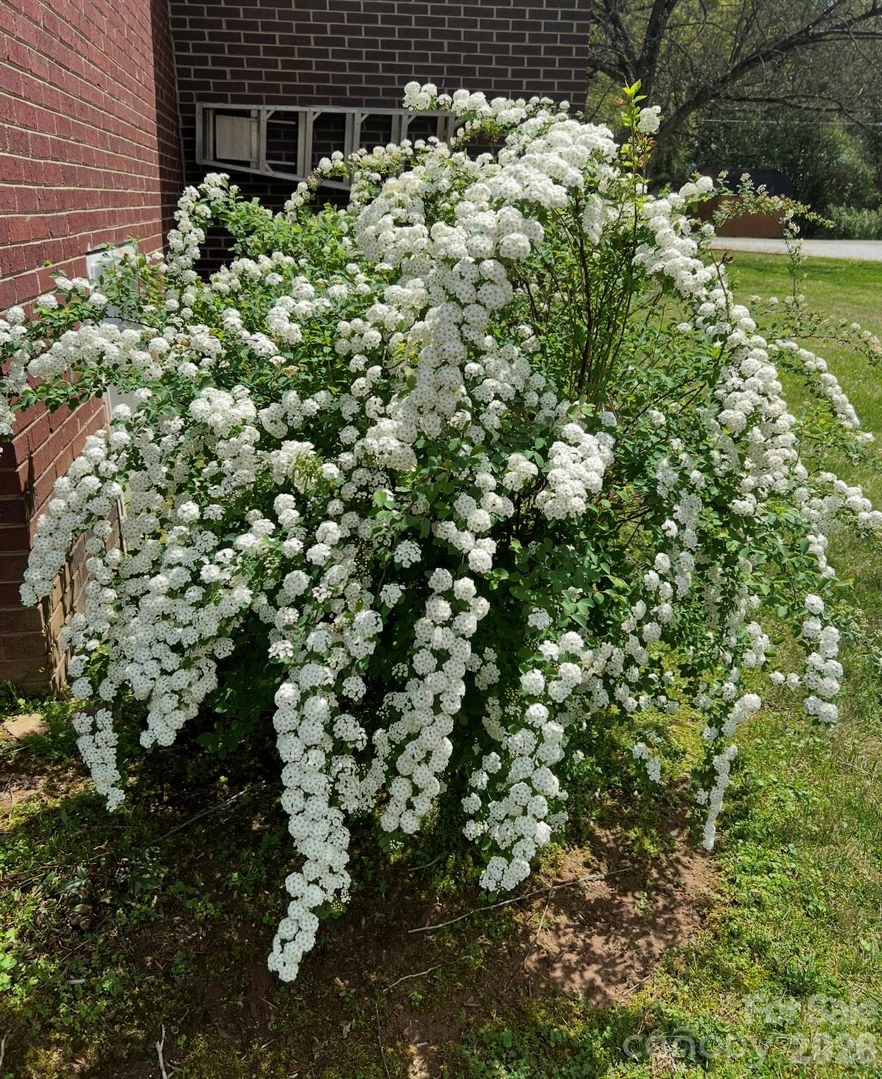 2008 Kings Road Shelby, NC 28150 - Photo 35 of 37