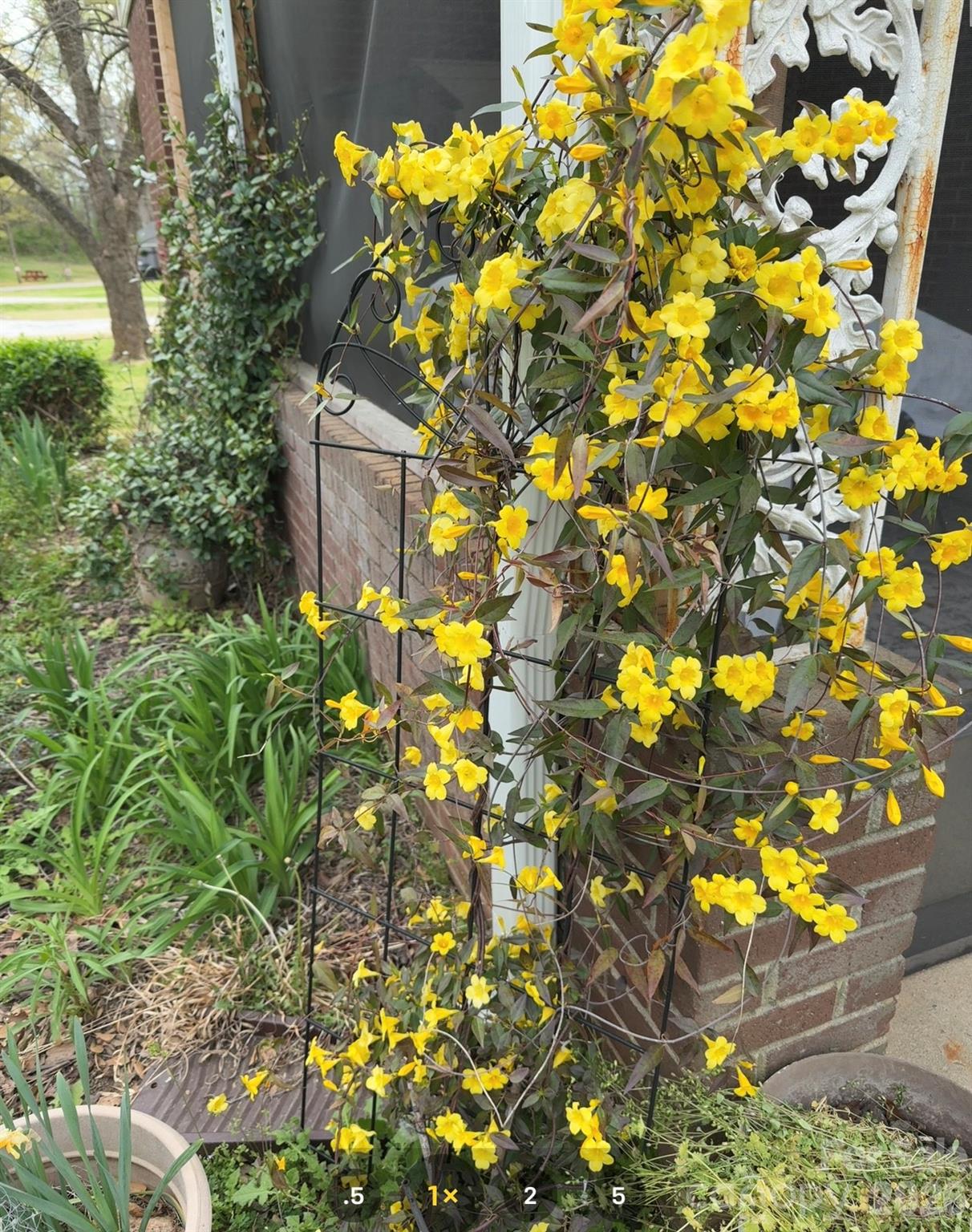 2008 Kings Road Shelby, NC 28150 - Photo 36 of 37